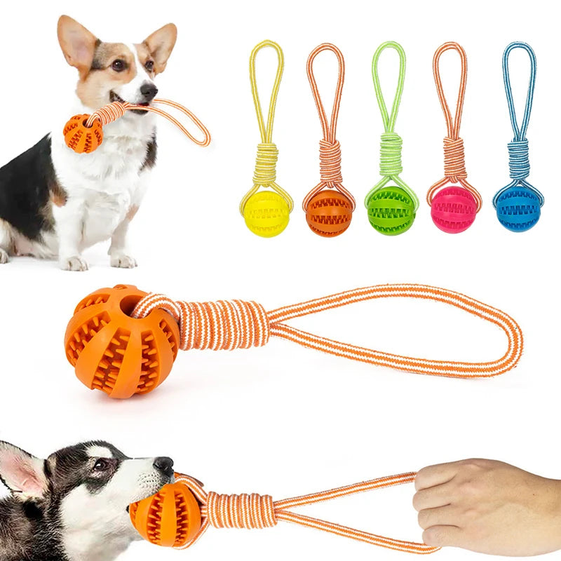 Hunde Ball mit Seil – Lucky's Favorite