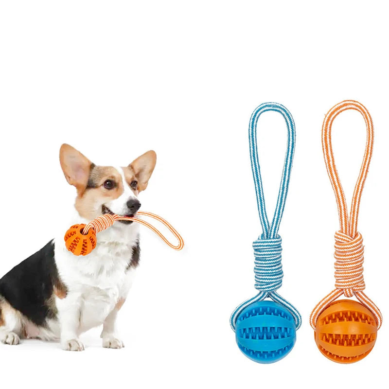 Hunde Ball mit Seil – Lucky's Favorite