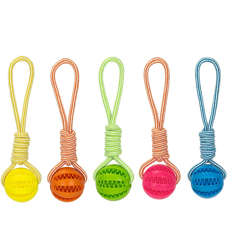 Hunde Ball mit Seil – Lucky's Favorite