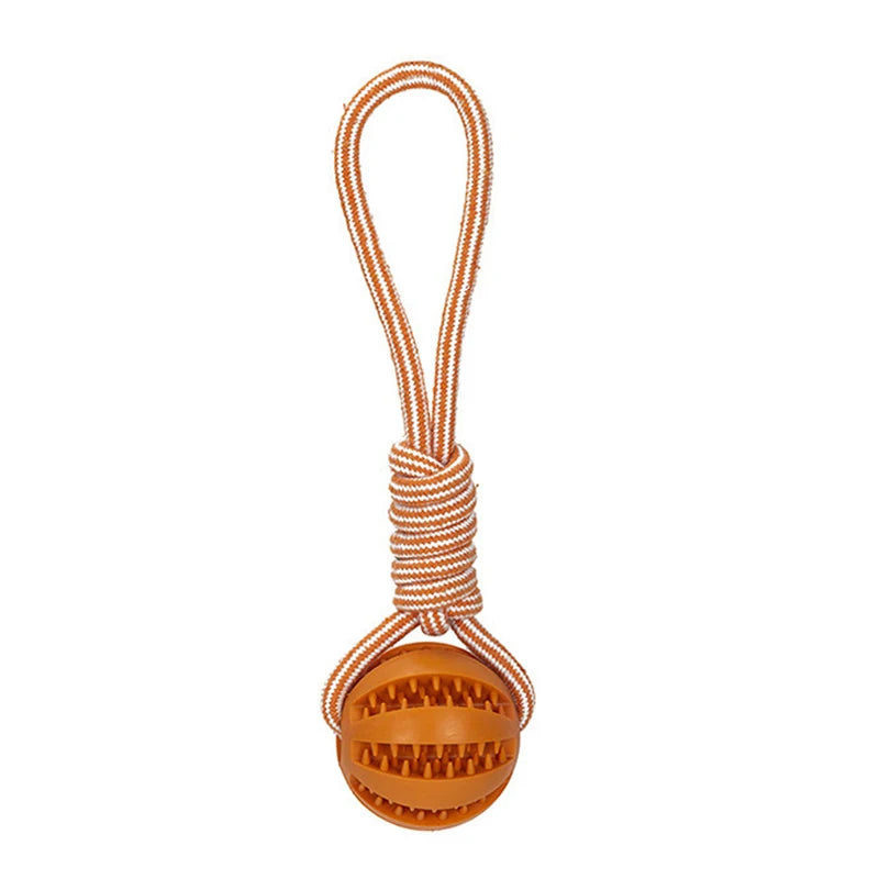 Hunde Ball mit Seil – Lucky's Favorite