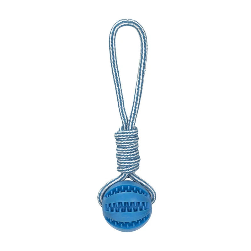 Hunde Ball mit Seil – Lucky's Favorite