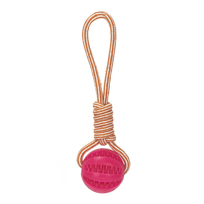 Hunde Ball mit Seil – Lucky's Favorite