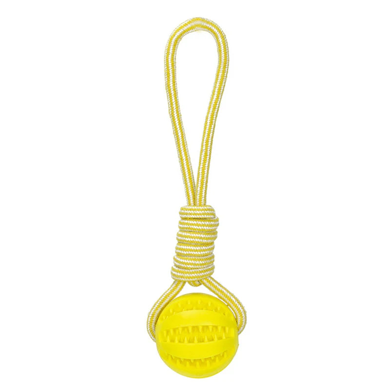 Hunde Ball mit Seil – Lucky's Favorite