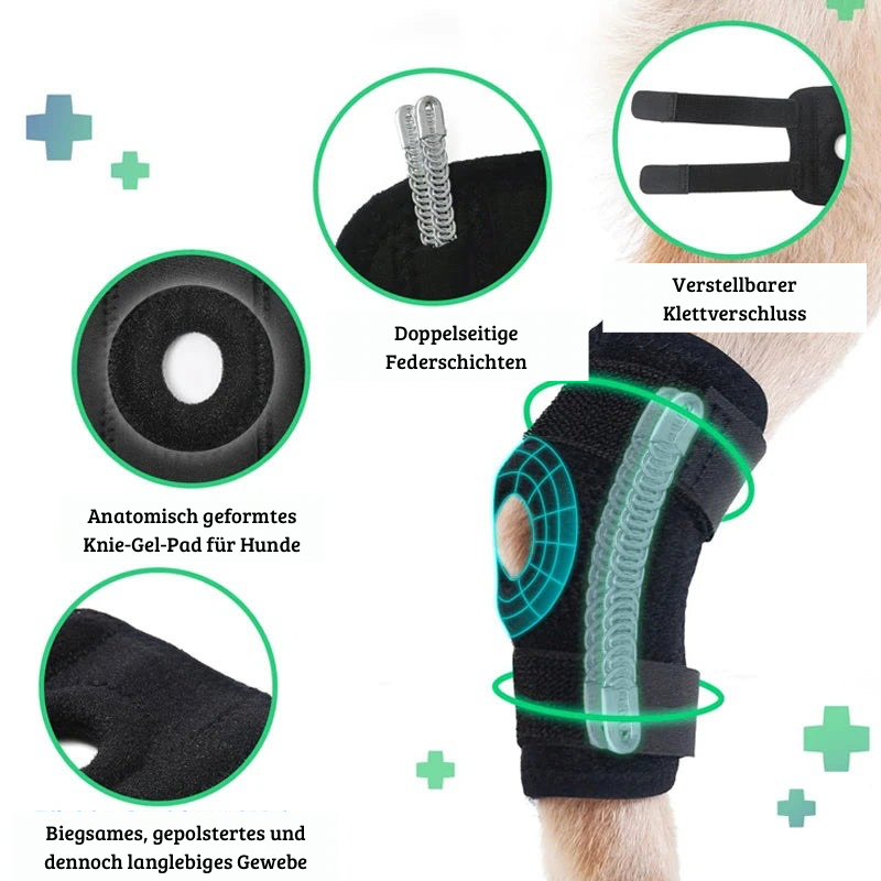 Beinschiene für Hunde