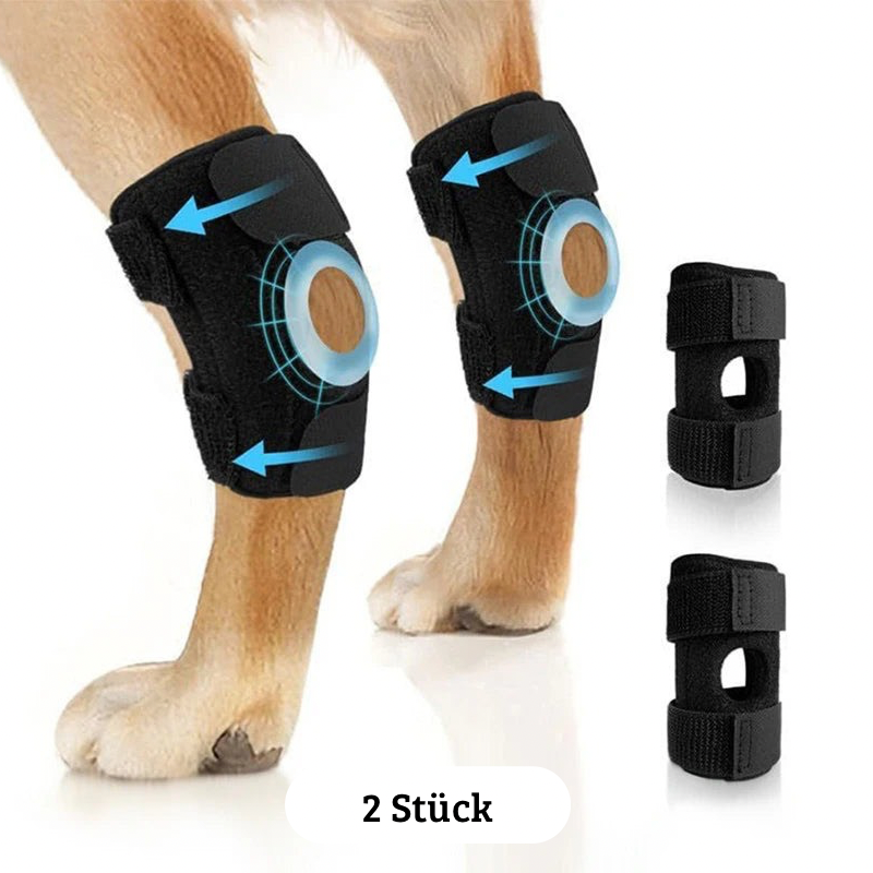 Beinschiene für Hunde