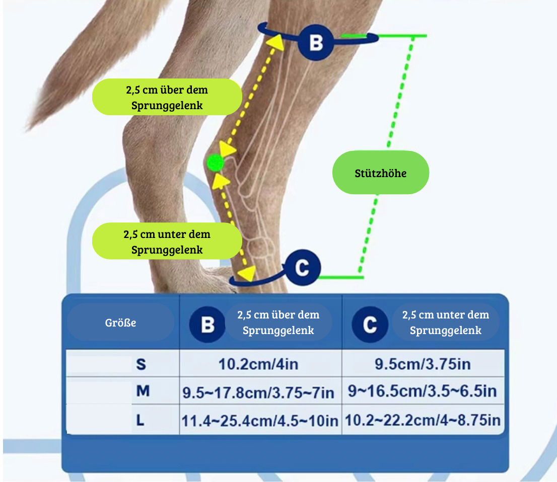 Beinschiene für Hunde