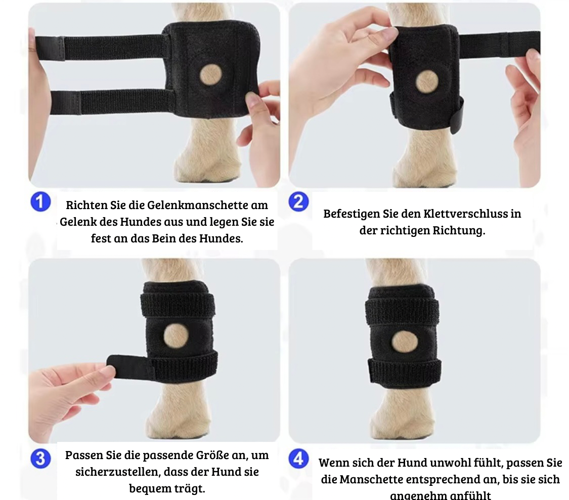 Beinschiene für Hunde