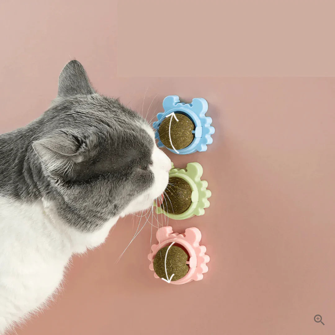 Premium Catnip