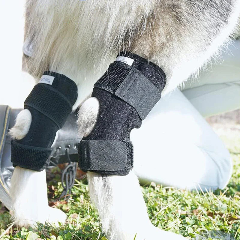 Beinschiene für Hunde