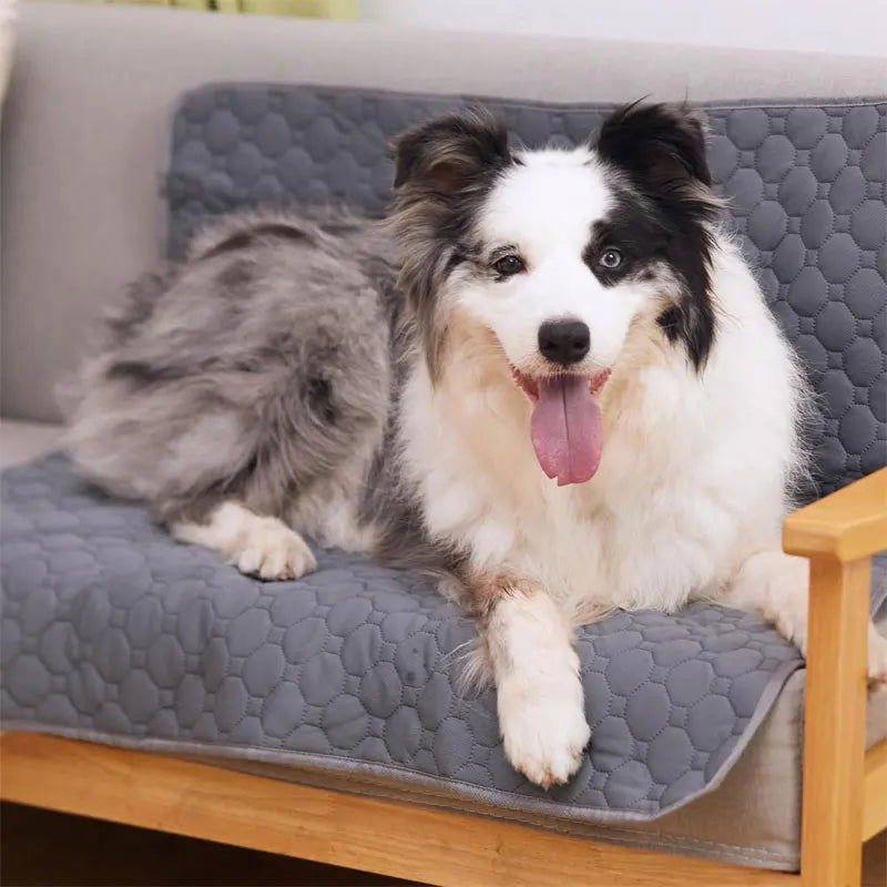 Wiederverwendbare wasserdichte Unterlage