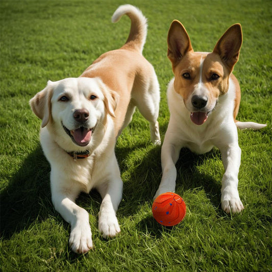 Intaktiver Smart Ball